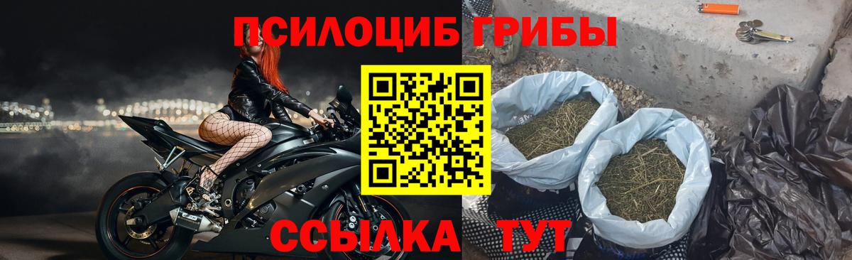 Ижевск  хочу наркоту  Галлюциногенные грибы ЛСД  Вход с VPN  Псилоцибиновые грибы Magic Shrooms 